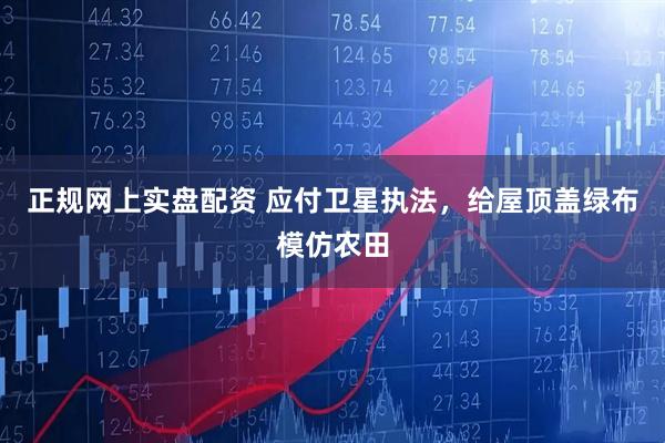 正规网上实盘配资 应付卫星执法,给屋顶盖绿布模仿农田