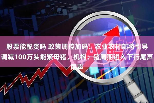 股票能配资吗 政策调控加码！农业农村部将引导调减100万头能繁母猪，机构：猪周期进入下行尾声
